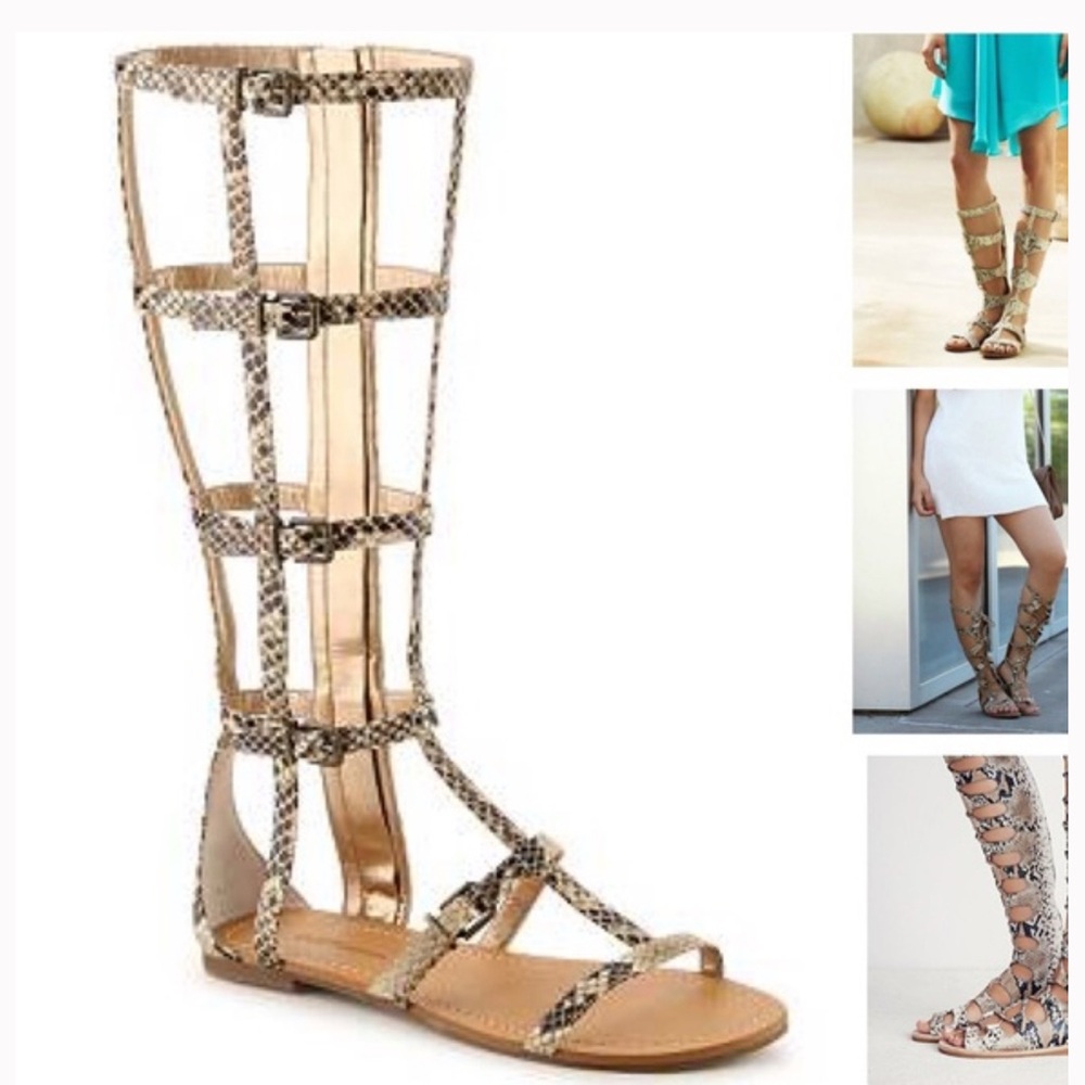 Brand New with box size 8 gladiator calf sandal- snake print ..